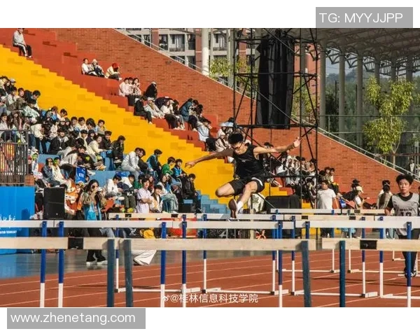 西安羽毛球队逆袭之旅揭秘：钻石联赛背后的奋斗与荣耀