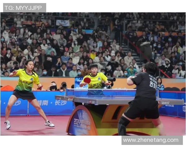 乒乓球巨献：探秘深圳乒乓球队的状态